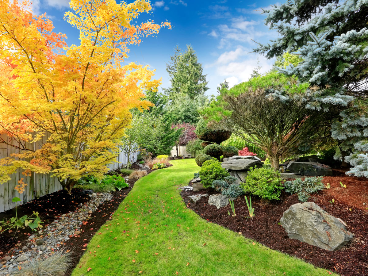 Mulch in backyard with crushed rock