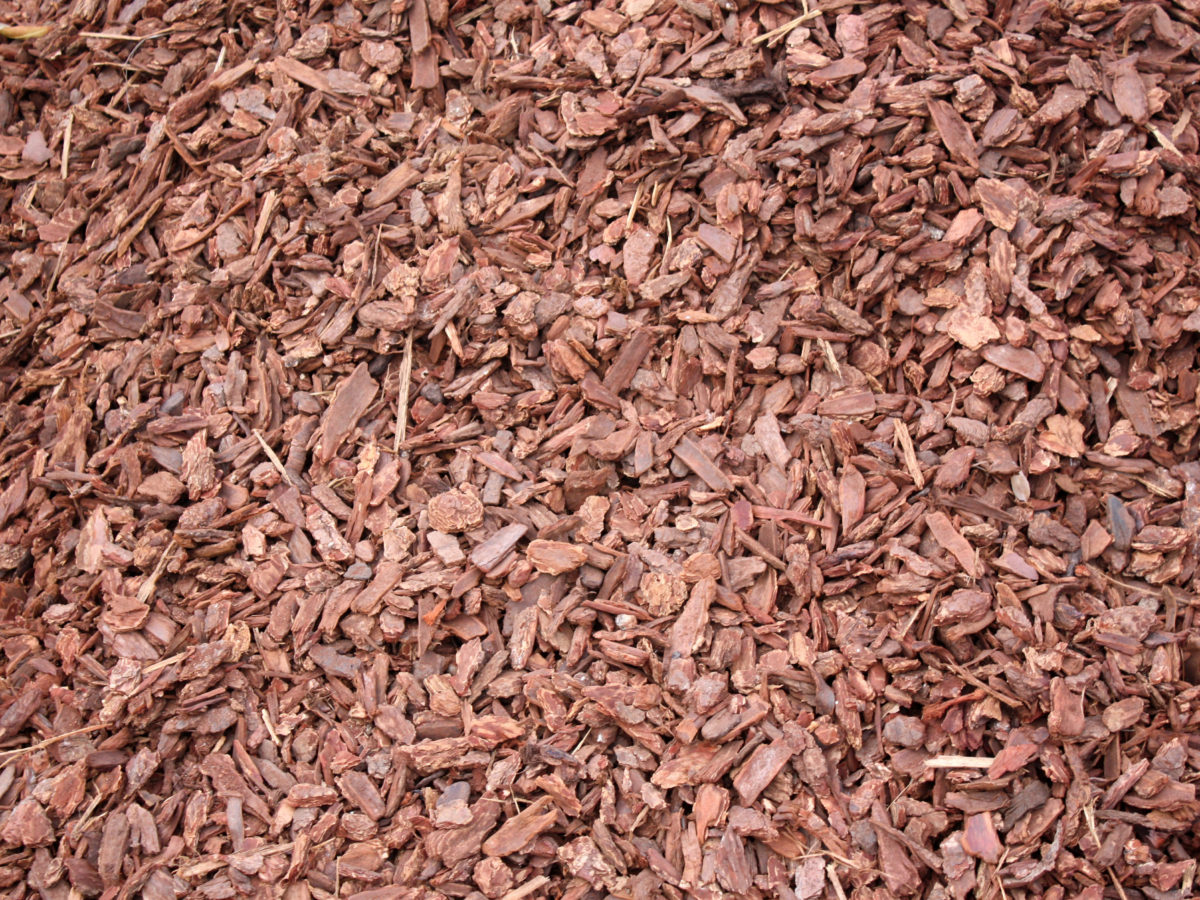 Montana bark nuggets mulch groundcover in front yard