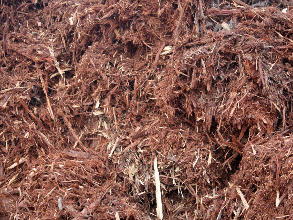 Gorilla hair shredded redwood mulch groundcover