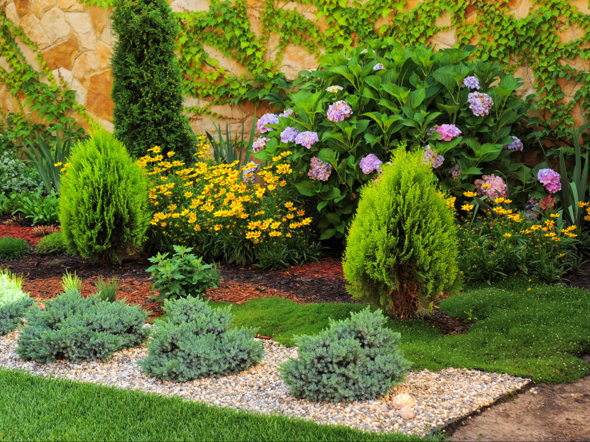 crushed rock groundcover under flower plants in yard