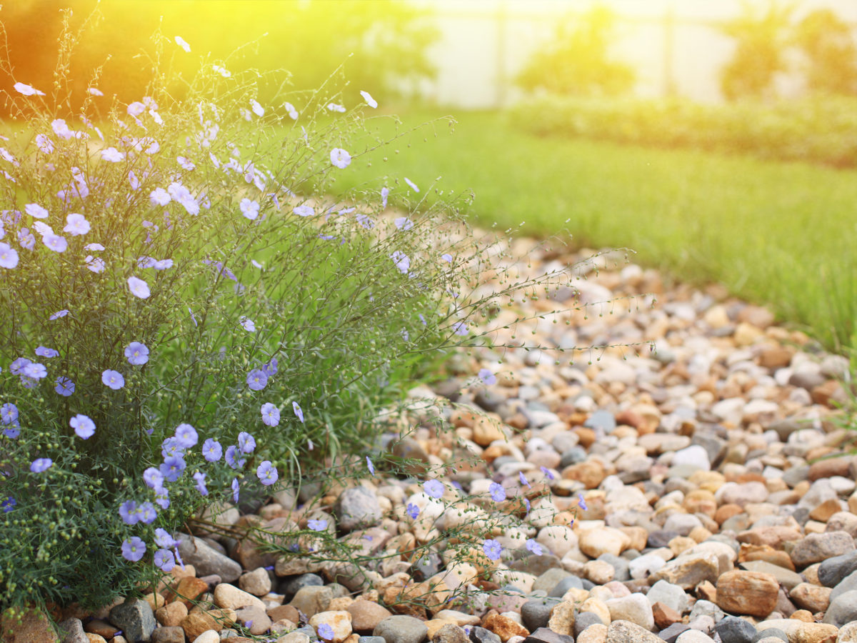 Dry creek bed with crushed rock