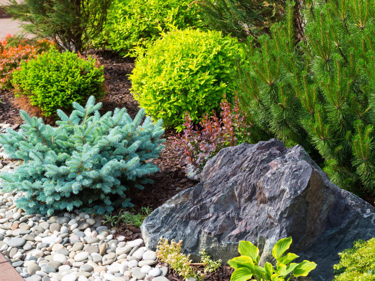 Boulder landscape rock project with pebbles and mulch