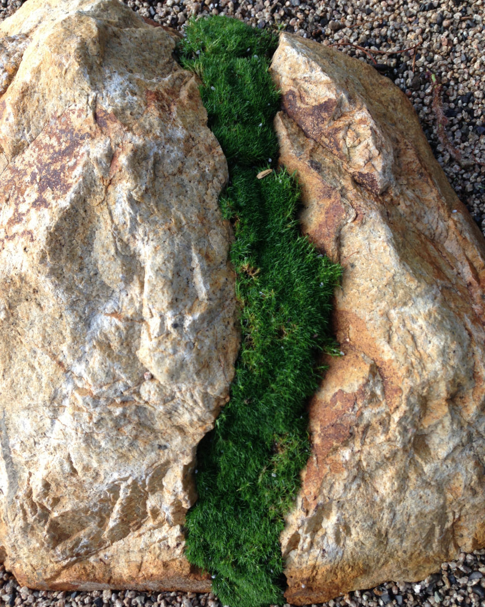 Zen garden boulder with moss on crushed rock