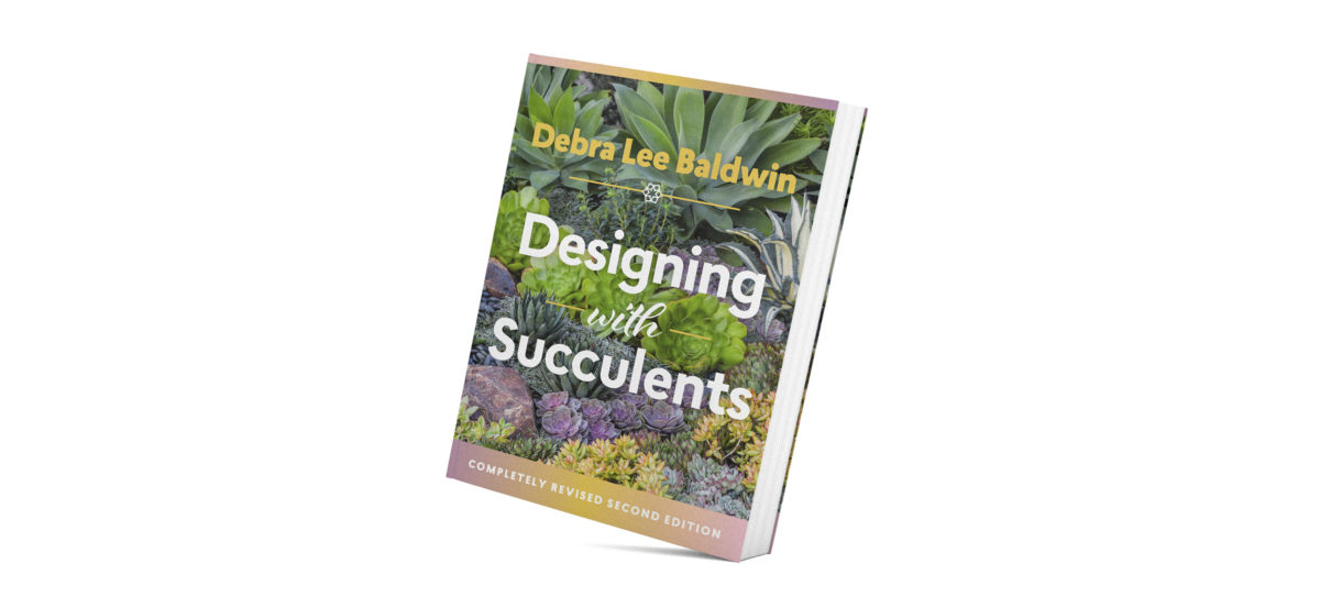 Debra Lee Baldwin’s Expert Advice on Stone Selection