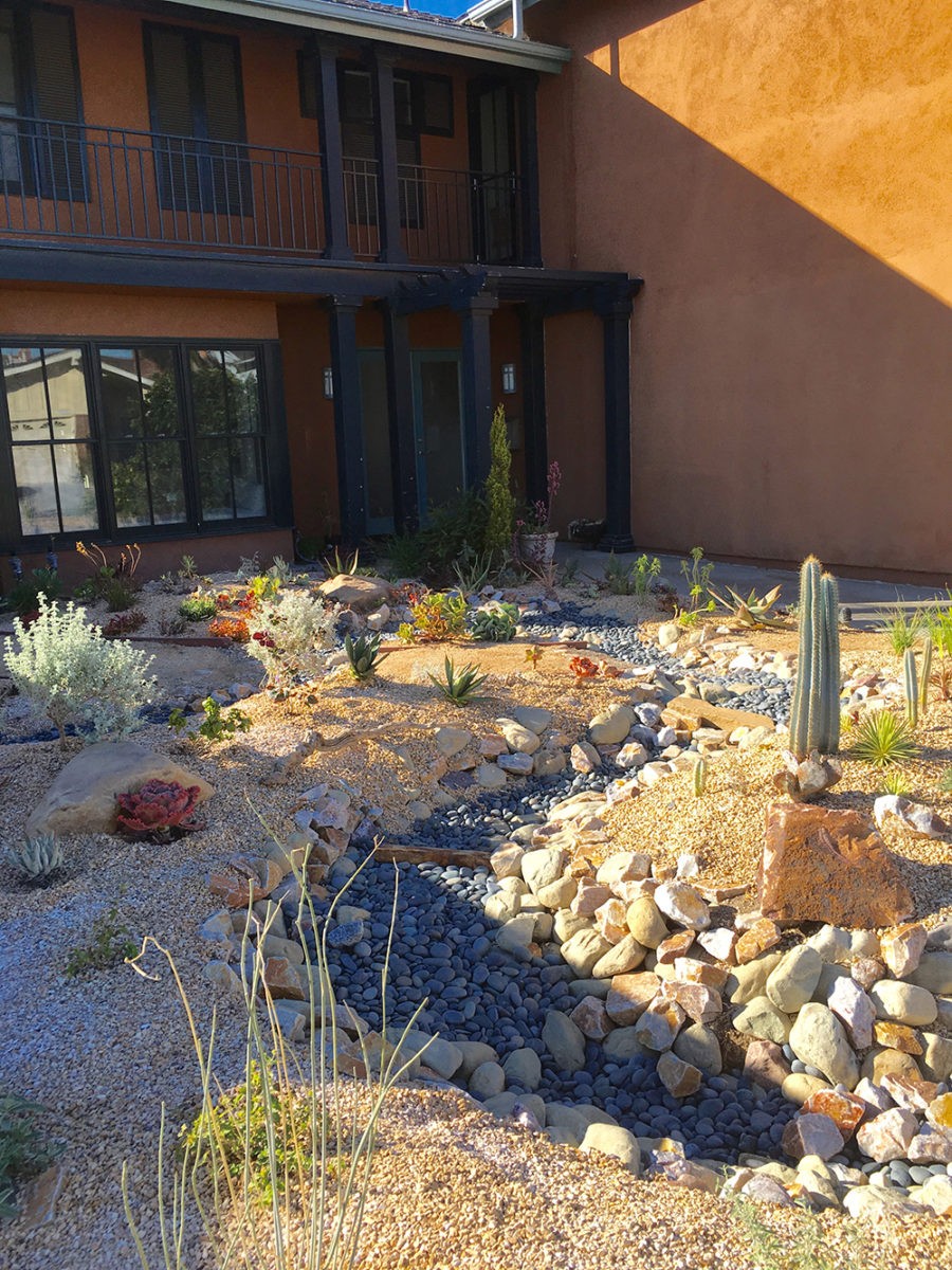 dry streambed