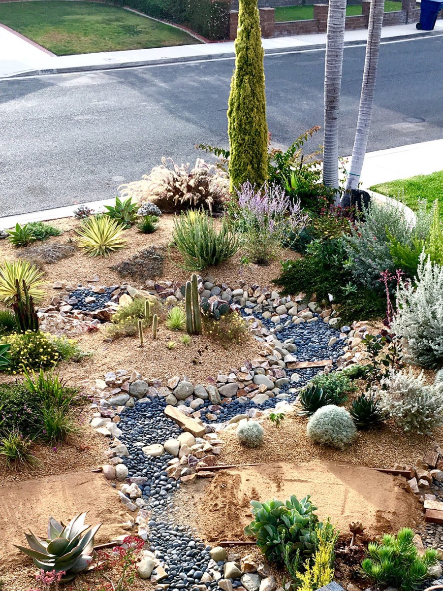 front-yard-garden-habitat-with-dry-streambed