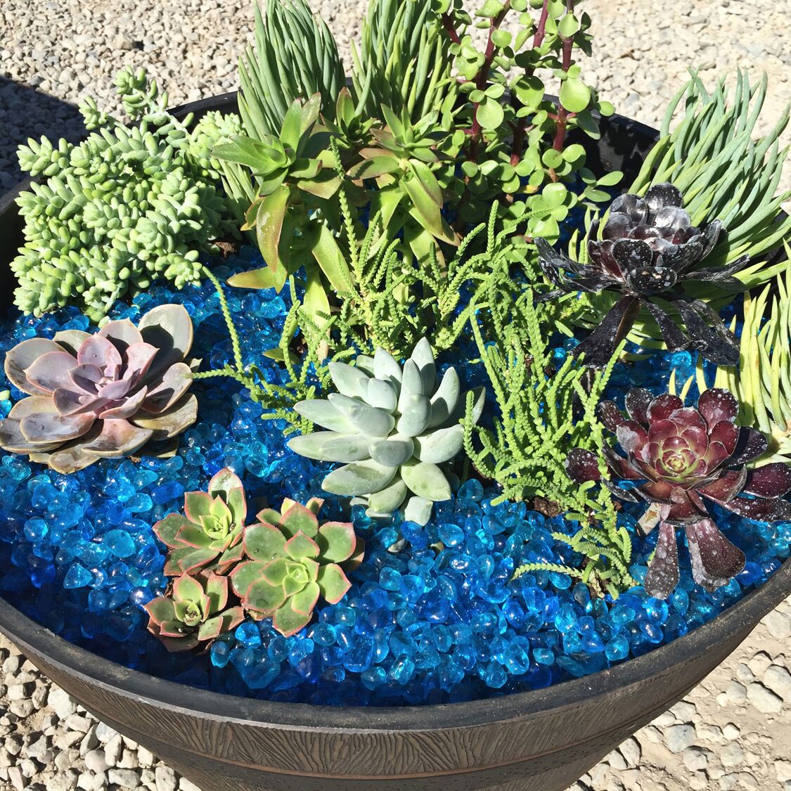 landscape glass, fountain